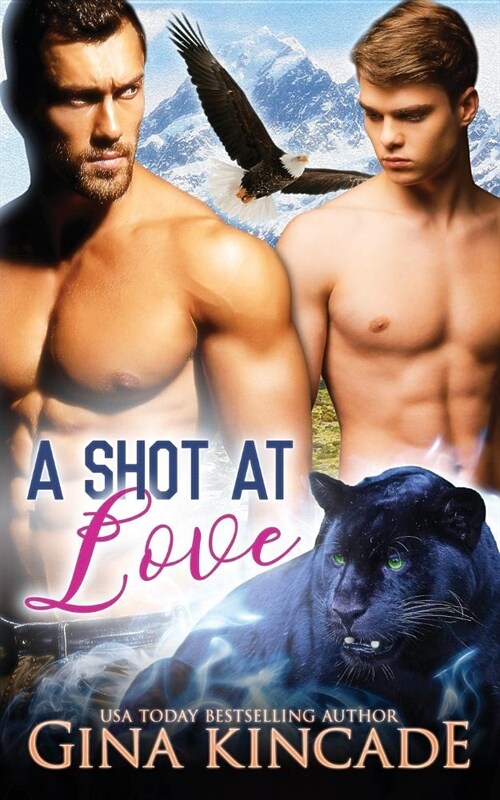 A Shot at Love (Paperback)