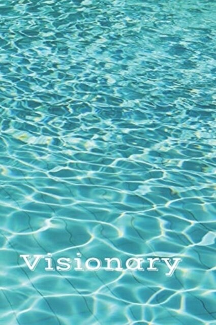 Visionary (Paperback)