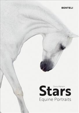 Stars: Equine Portraits (Hardcover)