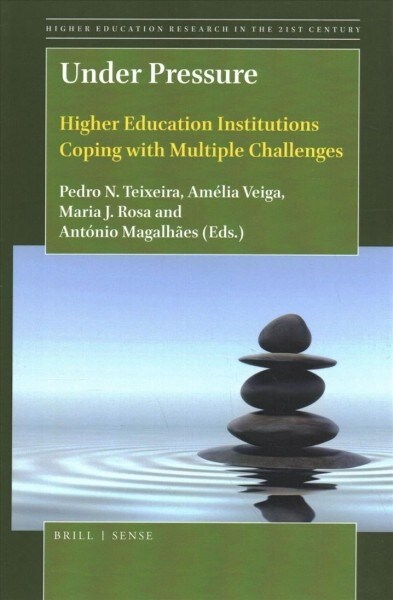 Under Pressure: Higher Education Institutions Coping with Multiple Challenges (Paperback)