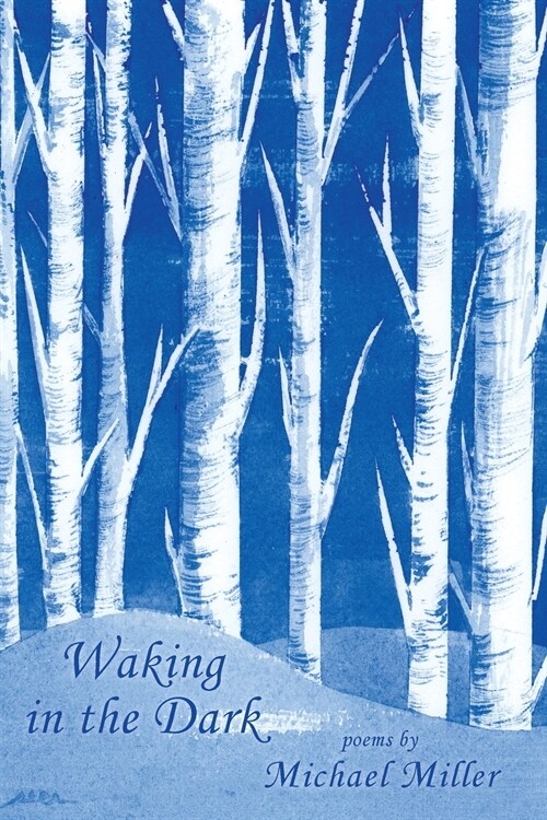 Waking in the Dark (Paperback)