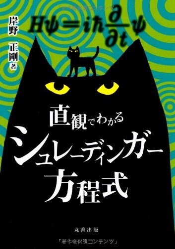 直觀でわかるシュレ-ディンガ-方程式 (單行本)