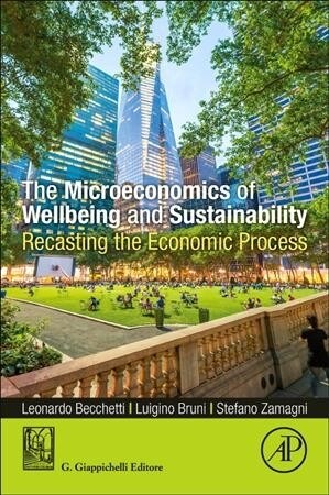 The Microeconomics of Wellbeing and Sustainability: Recasting the Economic Process (Paperback)