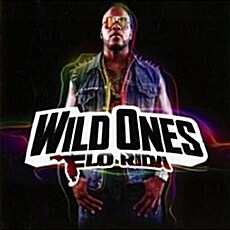 [수입] Flo Rida - Wild Ones