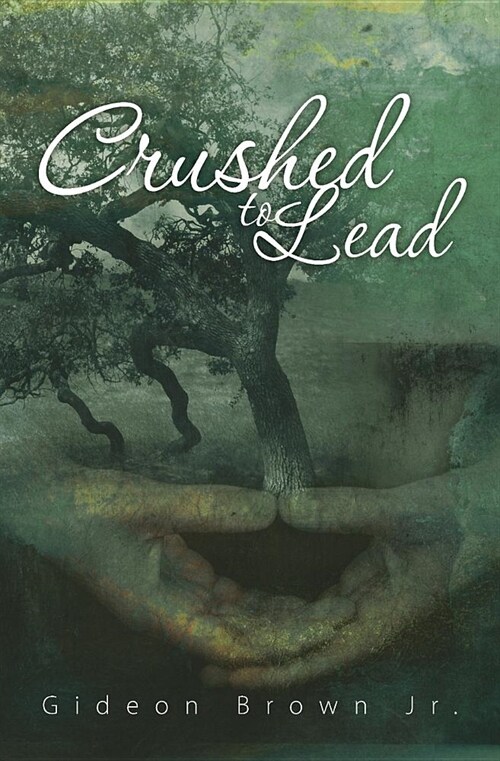 Crushed to Lead (Paperback)