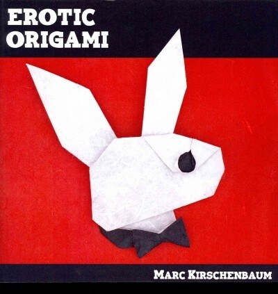 Erotic Origami (Paperback)