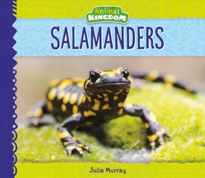 Salamanders (Library Binding)