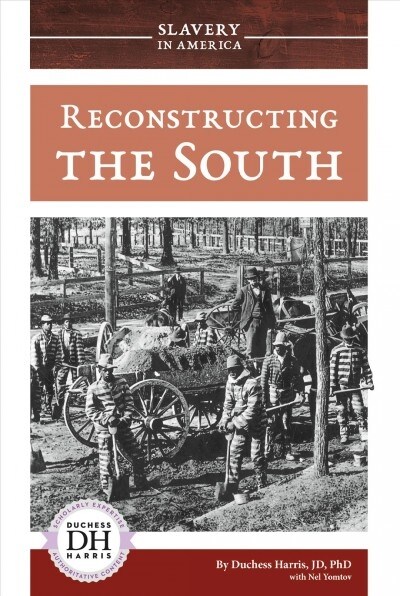 Reconstructing the South (Library Binding)