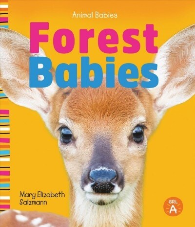 Forest Babies (Library Binding)