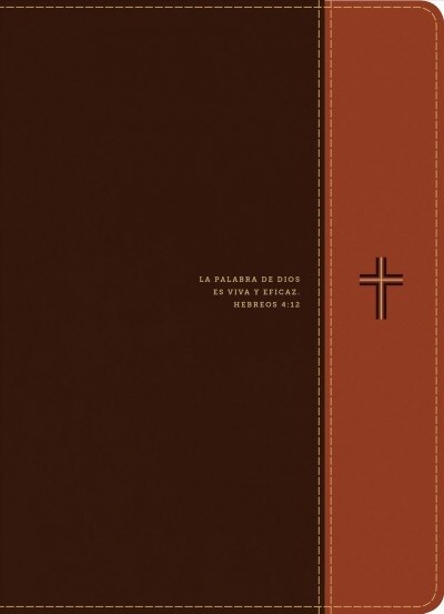 Biblia de Estudio del Diario Vivir Rvr60, Letra Grande (Letra Roja, Sentipiel, Caf?Caf?Claro) (Imitation Leather)