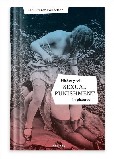 History of S E X U A L Punishment (Hardcover)