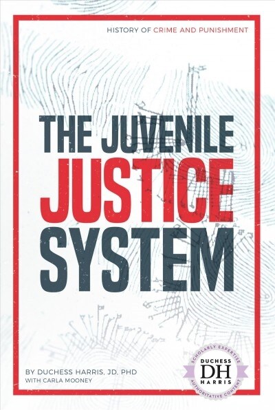 The Juvenile Justice System (Library Binding)