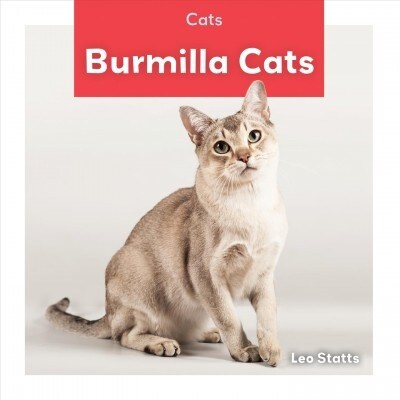 Burmilla Cats (Library Binding)