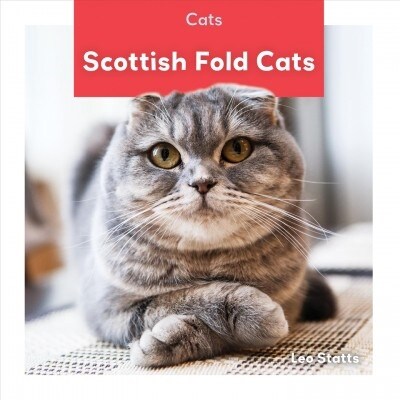 Scottish Fold Cats (Library Binding)
