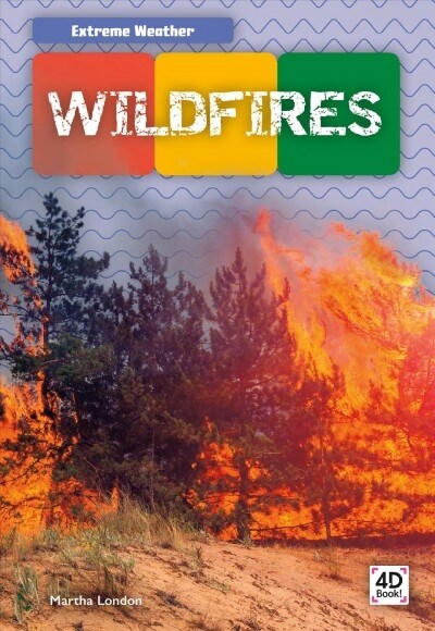 Wildfires (Library Binding)