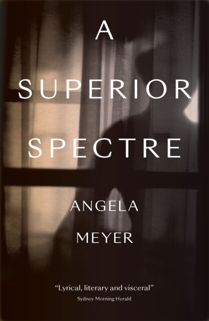 A Superior Spectre (Paperback)