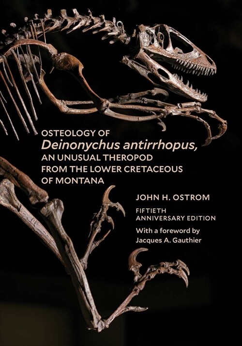 Osteology of Deinonychus Antirrhopus, an Unusual Theropod from the Lower Cretaceous of Montana: Bulletin 30 (Paperback)