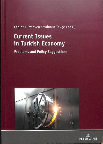 Current Issues in Turkish Economics: Problems and Policy Suggestions (Paperback)