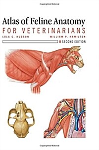 Atlas of Feline Anatomy for Veterinarians (Paperback, 2)