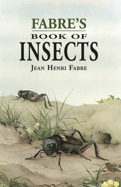 Fabres Book of Insects (Hardcover)