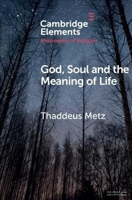 God, Soul and the Meaning of Life (Paperback)