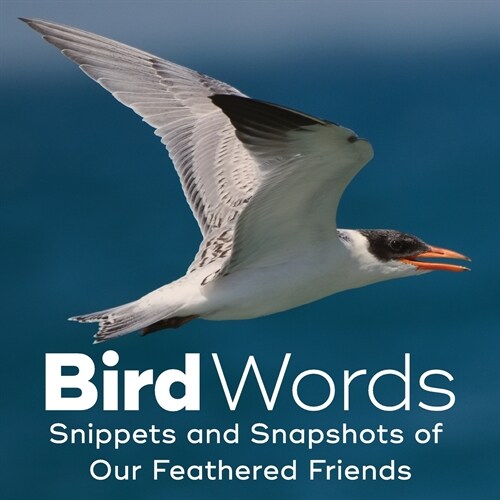 Bird Words: Snippets and Snapshots of Our Feathered Friends (Paperback)