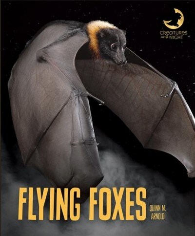 Flying Foxes (Library Binding)