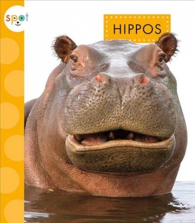 Hippos (Library Binding)