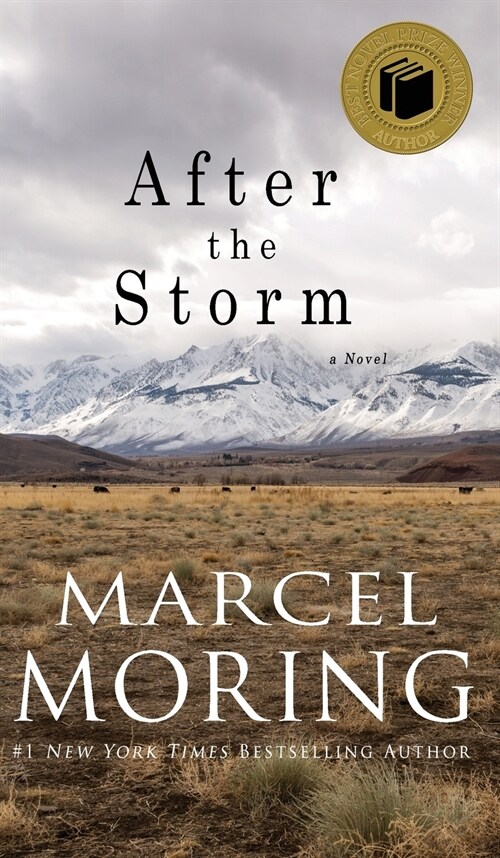 After the Storm (Hardcover)