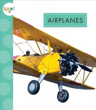 Airplanes (Library Binding)