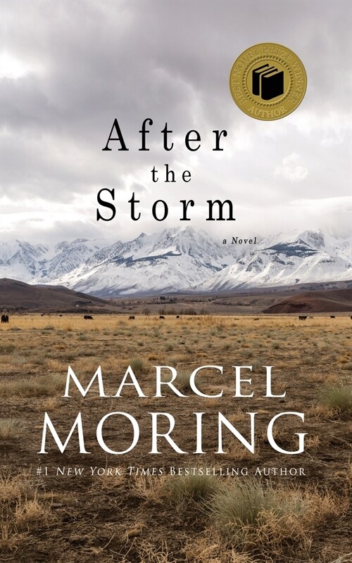 After the Storm (Paperback)