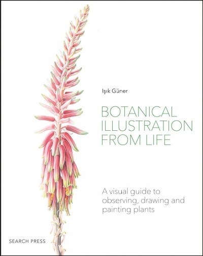 Botanical Illustration from Life : A Visual Guide to Observing, Drawing and Painting Plants (Paperback)