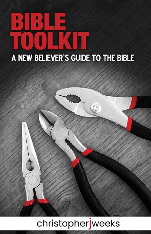 Bible Toolkit: A New Believers Guide to the Bible (Paperback)