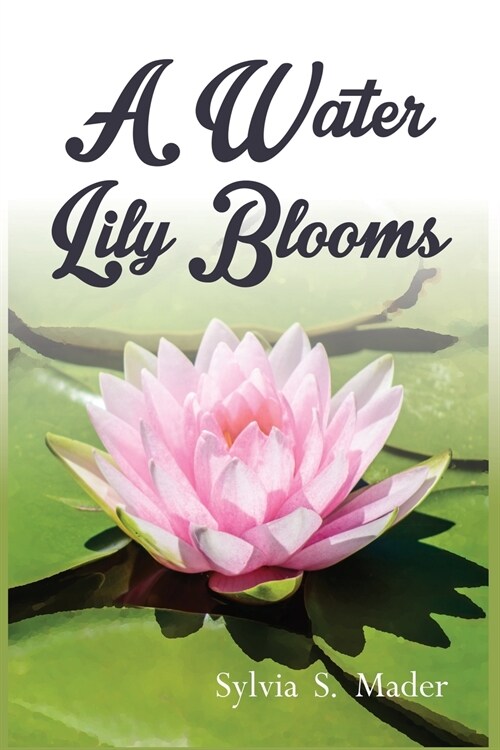 A Water Lily Blooms (Paperback)