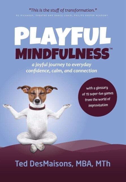 Playful Mindfulness: A Joyful Journey to Everyday Confidence, Calm, and Connection (Hardcover)