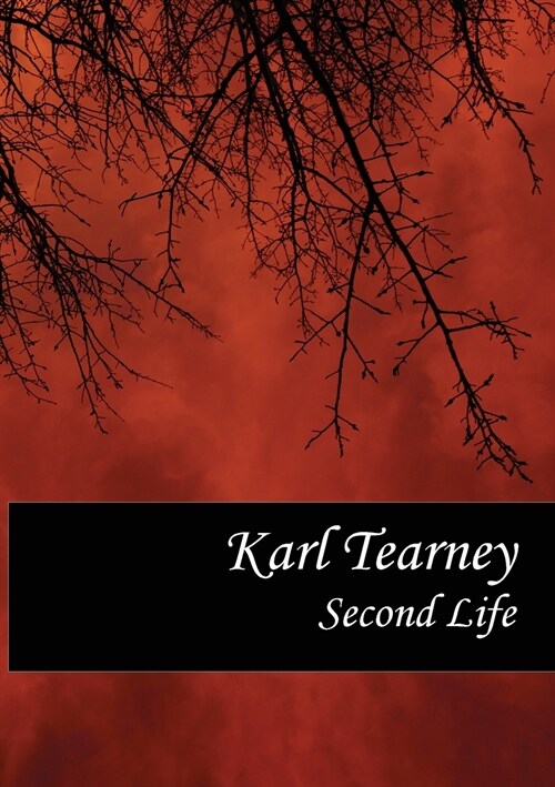 Second Life (Paperback)
