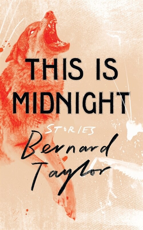 This Is Midnight: Stories (Paperback)