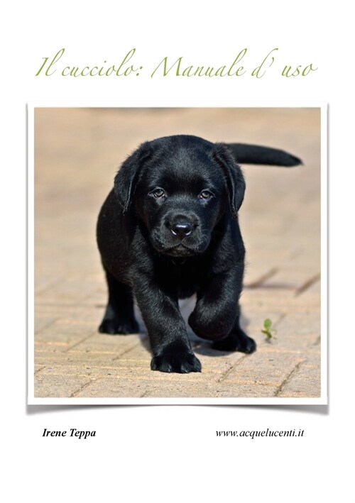 Il Cucciolo: Manuale dUso (Paperback)