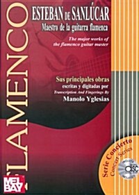 Maesdtro de la guitarra flamenca / Flamenco Guitar Master (Paperback)