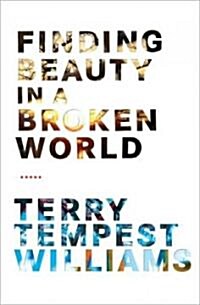 Finding Beauty in a Broken World (Hardcover, 1st)