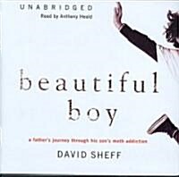 Beautiful Boy: A Fathers Journey Through His Sons Meth Addiction (Audio CD)