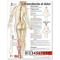 Understanding Pain Anatomical Chart (Chart)