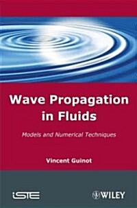 Wave Propagation in Fluids : Models and Numerical Techniques (Hardcover)