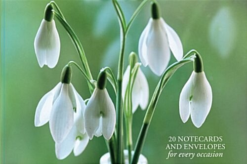 Card Box of 20 Notecards and Envelopes: Snowdrop (Cards)