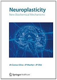 Neuroplasticity : New Biochemical Mechanisms (Paperback)