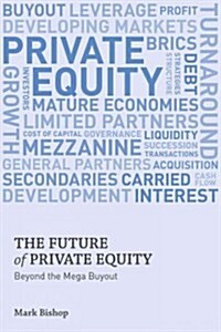 The Future of Private Equity : Beyond the Mega Buyout (Hardcover)