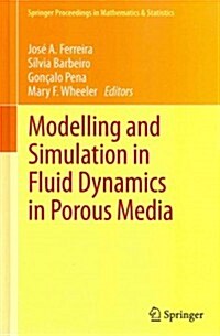 Modelling and Simulation in Fluid Dynamics in Porous Media (Hardcover, 2013)