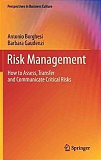 Risk Management: How to Assess, Transfer and Communicate Critical Risks (Hardcover, 2013)
