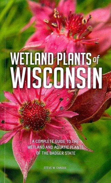 Wetland Plants of Wisconsin (Paperback)