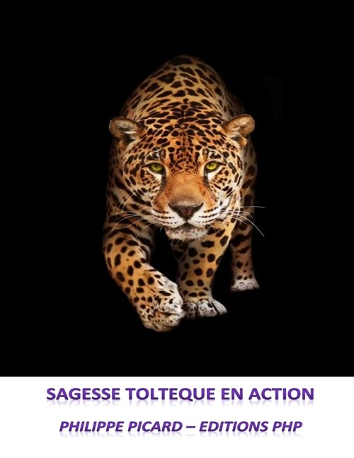 Sagesse Tolteque En Action (Paperback)